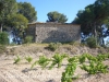 Capella de Sant Joan de la Maçana – Font-rubí