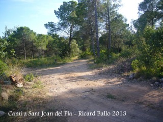 Camí a la Capella de Sant Joan del Pla – La Palma de Cervelló