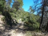 Capella de Sant Jordi – Sant Llorenç de la Muga - Una mostra d'una zona del camí a peu.