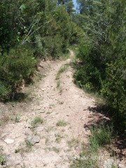 Camí a la Capella de Sant Nazari de la Garriga – Oristà