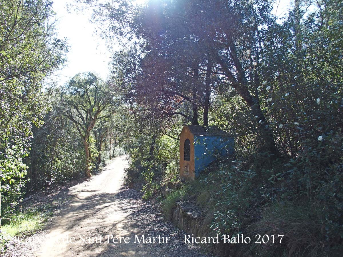 Capella de Sant Pere Màrtir – Sant Julià del Llor i Bonmatí