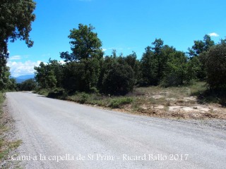 Camí a la Capella de Sant Prim – Olius