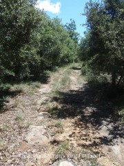 Camí a la Capella de Sant Prim – Olius