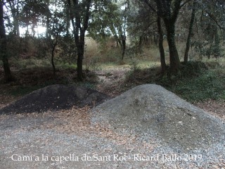 Camí a la Capella de Sant Roc-Sant Pere de Torelló