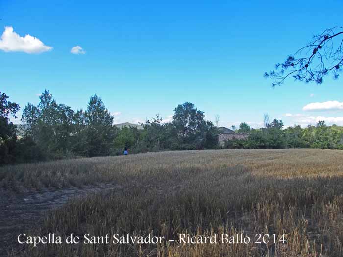 Capella de Sant Salvador-Jorba-Final Itinerari