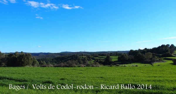 Paisatge del Bages pels voltants de la capella de Santa Magdalena de Còdol-rodon.