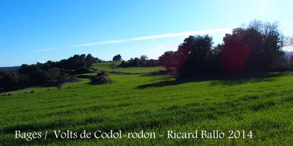 Paisatge del Bages pels voltants de la capella de Santa Magdalena de Còdol-rodon.