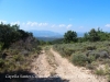 Una part del camí d'accès a la Capella de Santes Creus – Pinell de Solsonès