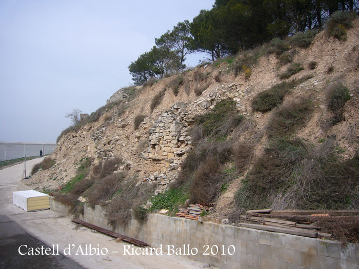 castell-dalbio-100320_505