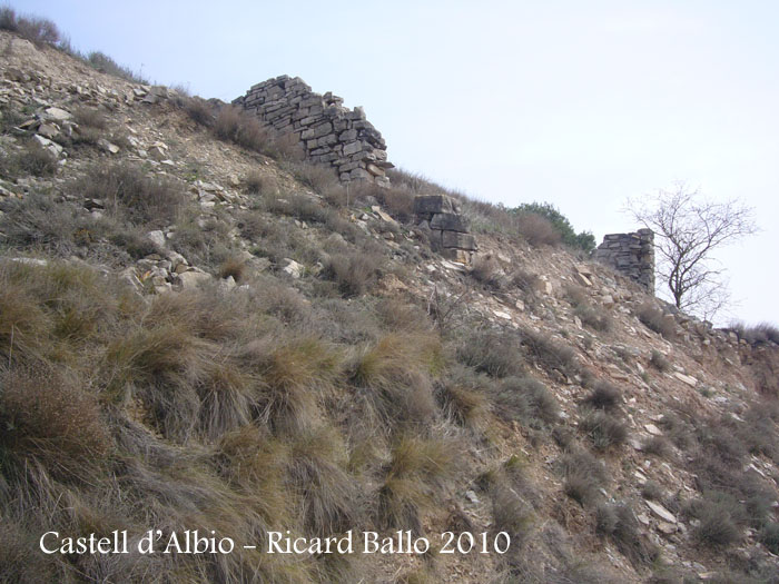 castell-dalbio-100320_508