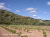 Vistes del Castell d'Almudèfer, des del camí d'accés, cap al final del recorregut. Aquí podem veure el castell, a l'esquerra, la torre al centre i l'església de Santa Anna a la dreta.