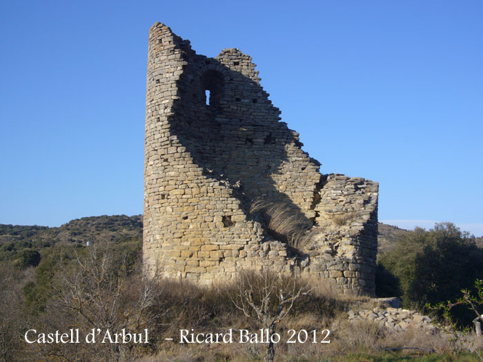 castell-darbul-120316_502