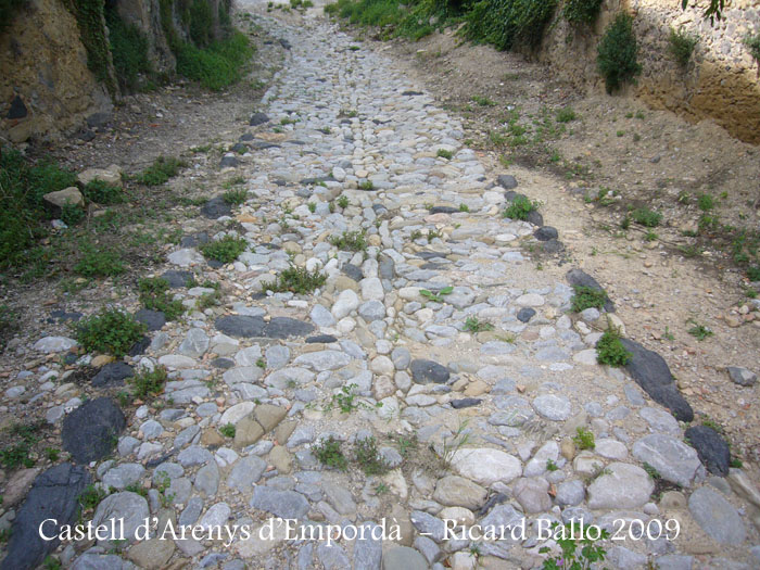 castell-d-arenys-d-emporda-090520_504