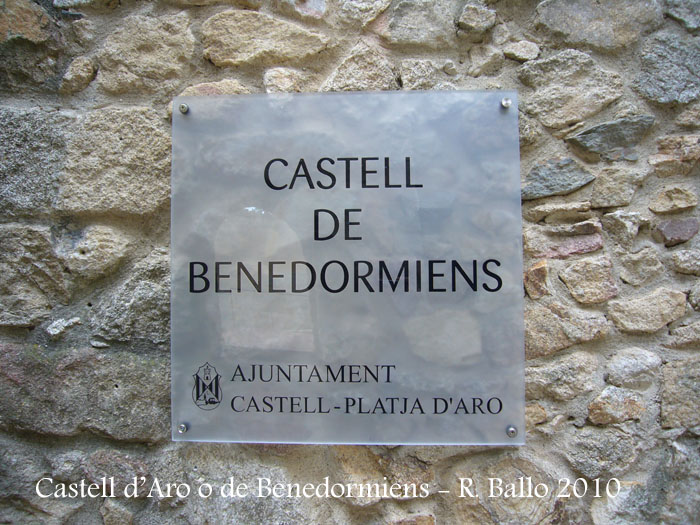 castell-de-castell-daro-100306_501