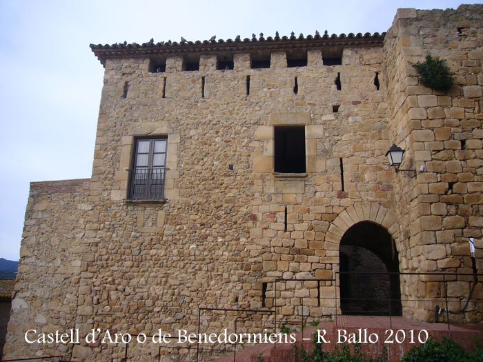 castell-de-castell-daro-100306_541