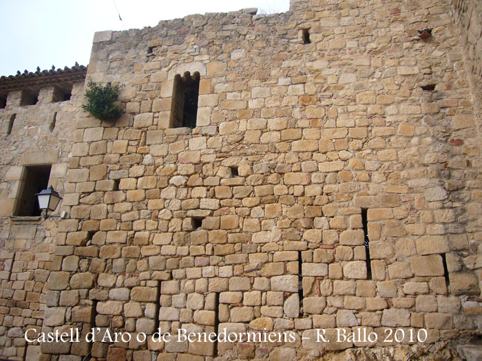 castell-de-castell-daro-100306_543