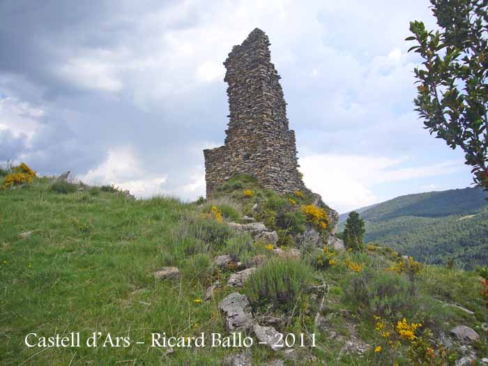 castell-dars-110524_549bis