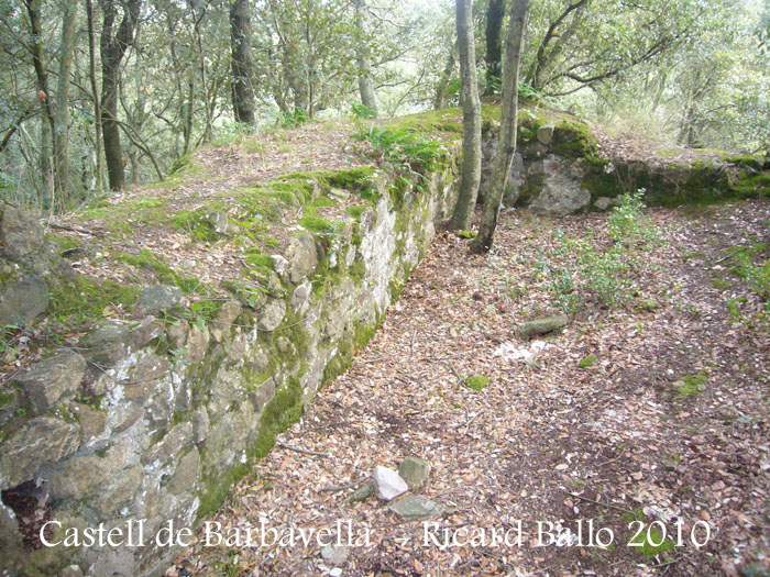 castell-de-barbavella-100116_512