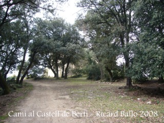 Camí al Castell de Berti