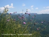 Vistes des del castell de Besora