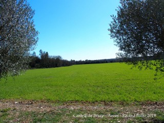 Castell de Biure de Queixàs - Entorn