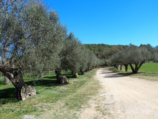 Castell de Biure de Queixàs - Camí d'accès