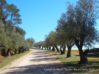 Castell de Biure de Queixàs - Camí d'accès