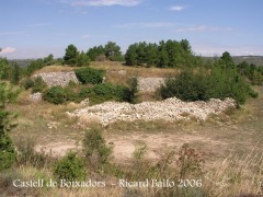 Castell de Boixadors - Sant Pere Sallavinera