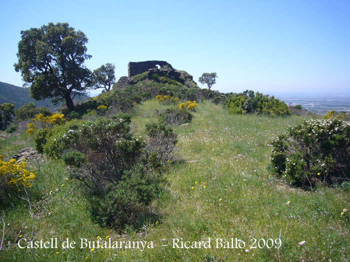 castell-de-bufalaranya-090507_571