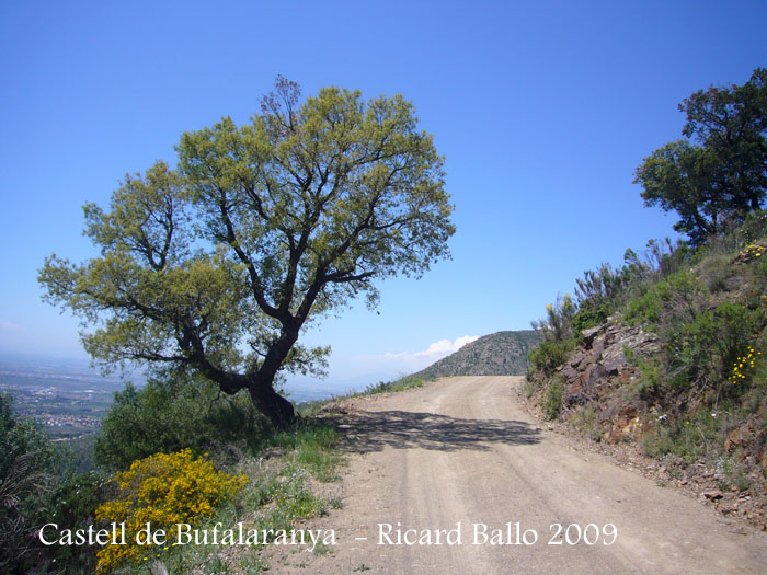 castell-de-bufalaranya-090507_577