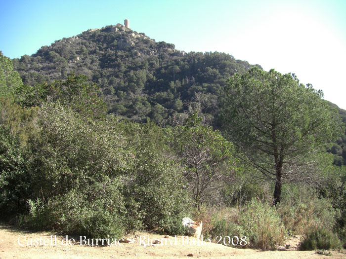 castell-de-burriac-080126_778