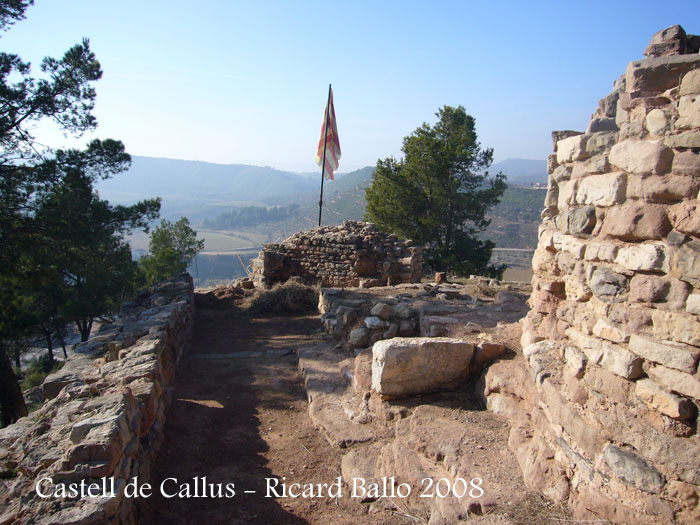 castell-de-callus-080123_507