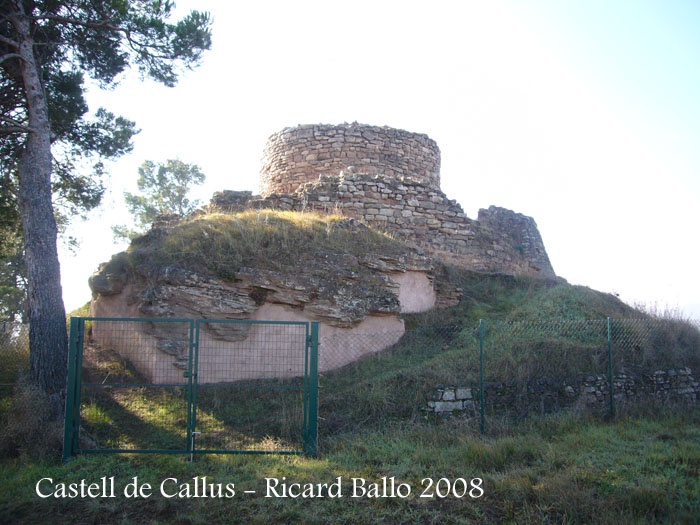 castell-de-callus-080123_524