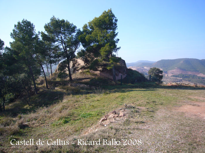 castell-de-callus-080123_544