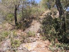 Camí al castell de Can Ferrer de la Cogullada.