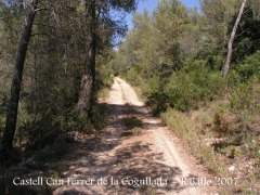 Camí al castell de Can Ferrer de la Cogullada.