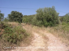 Camí al castell de Can Ferrer de la Cogullada.