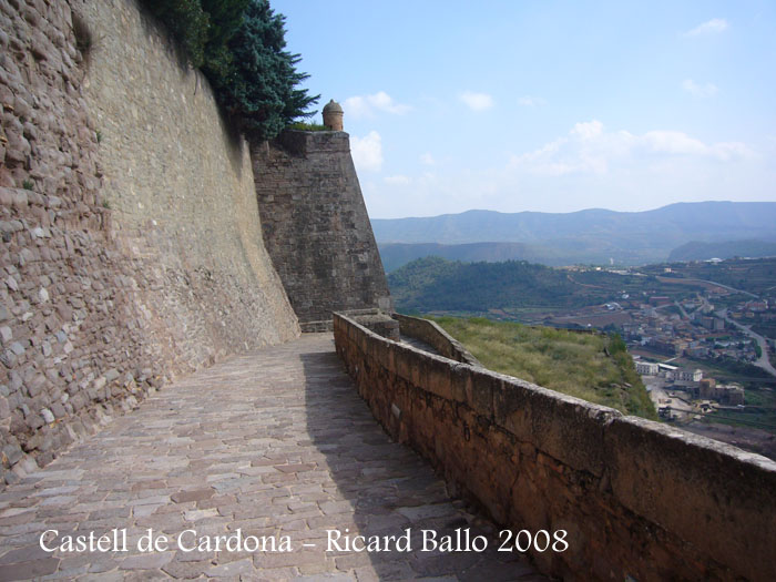 castell-de-cardona-080920_522