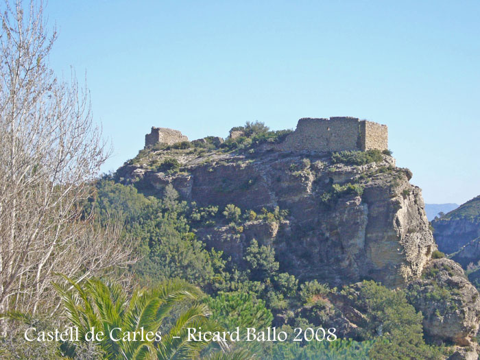 castell-de-carles-alfara-de-carles-080302_509bisblog