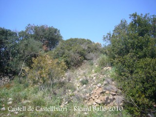Hem de mirar de localitzar les minses restes d'aquesta edificació.