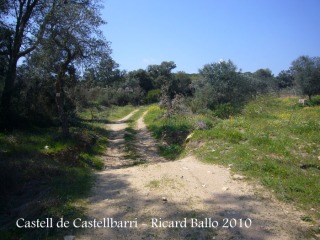 Desguassos al bell mig del camí .