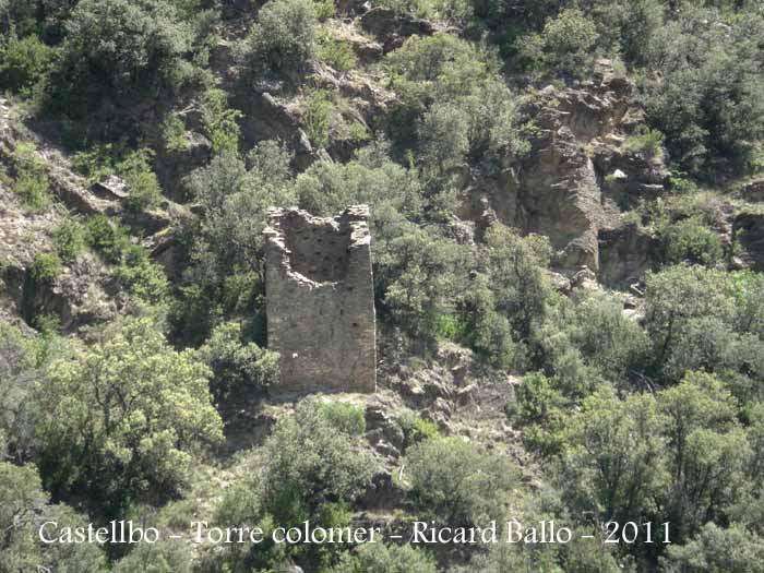 castellbo-torre-colomera-castellbo-110524_703_0