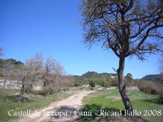 Castell de Castellcir - Camí.