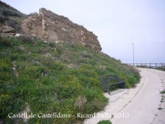 castell-de-castelldans-100403_506