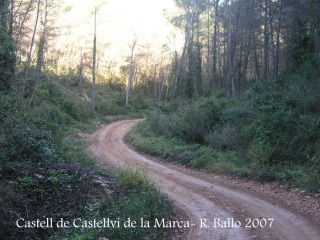 castell-de-castellvi-de-la-marca-070113_59