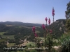 Castell de Centelles - Vistes des del castell.