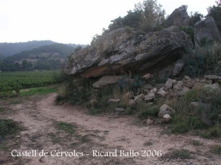 castell-de-cervols-061014_20