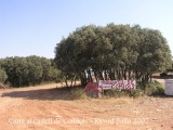 Camí al castell de Comiols.