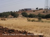 Camí al castell de Comiols.