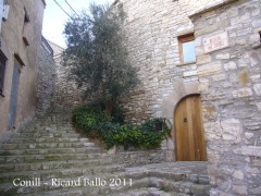 castell-de-conill-110203_513